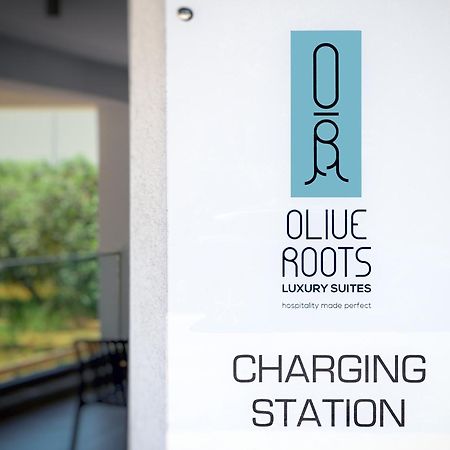 Готель Olive Roots Skala Rachoni  Екстер'єр фото