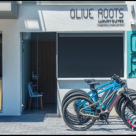 Готель Olive Roots Skala Rachoni  Екстер'єр фото
